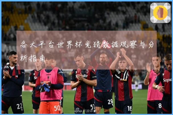 各大平台世界杯竞猜数据观察与分析指南
