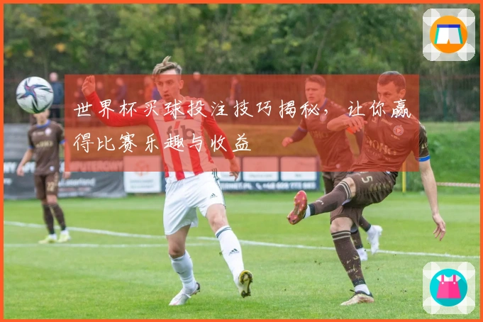 世界杯买球投注技巧揭秘，让你赢得比赛乐趣与收益