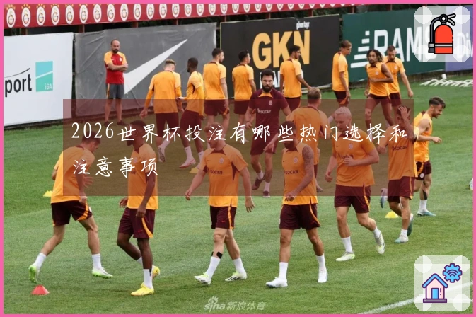 2026世界杯投注有哪些热门选择和注意事项
