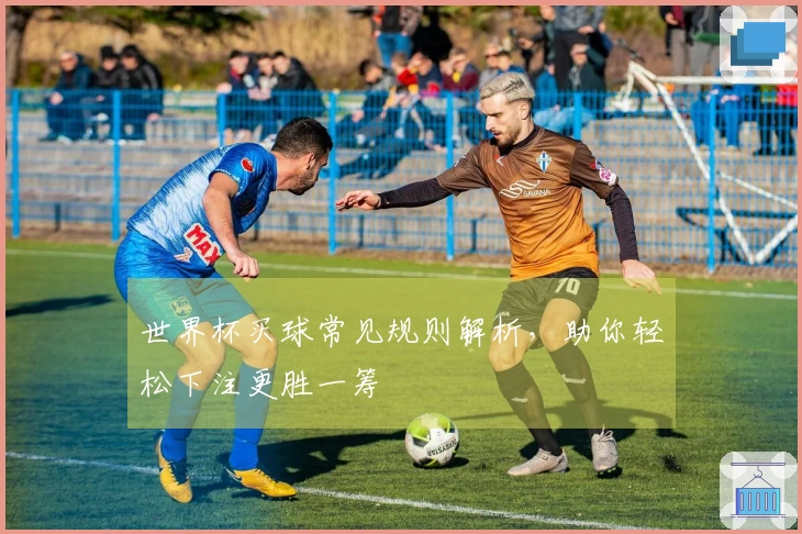 世界杯买球常见规则解析，助你轻松下注更胜一筹